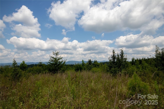 TBD Hickory Boulevard 18 & 20, Lenoir, NC 28645 - photo 8