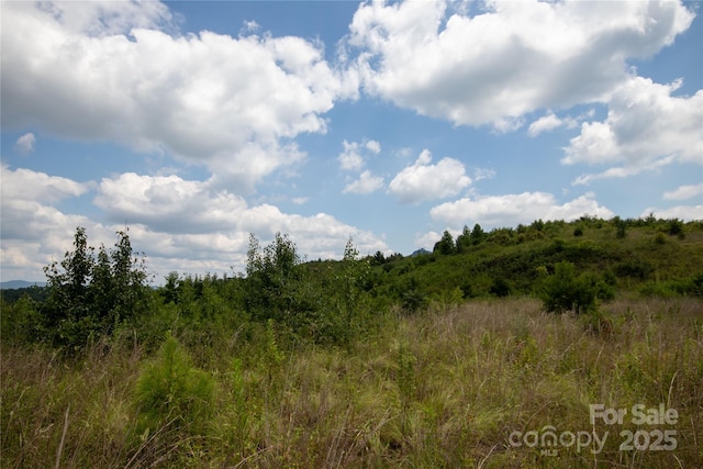 TBD Hickory Boulevard 18 & 20, Lenoir, NC 28645 - photo 10