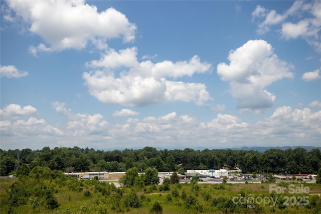 TBD Hickory Boulevard 18 & 20, Lenoir, NC 28645 - photo 27