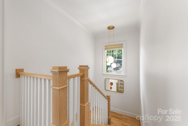 210 Walford Dr, Charlotte, NC 28208 - photo 19