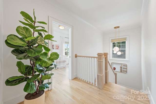 210 Walford Dr, Charlotte, NC 28208 - photo 20