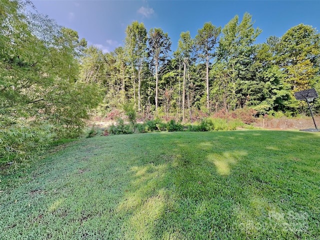 3134 Rainbow Ridge Dr, Matthews, NC 28105 - photo 17