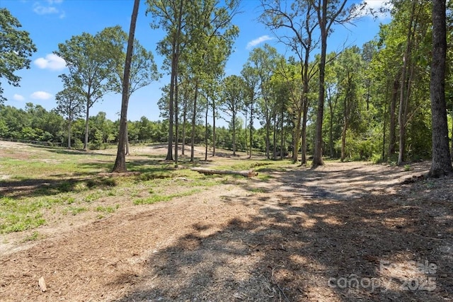 2518 Cabarrus Farms Rd, Midland, NC 28107 - photo 8