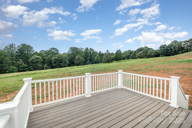 729 32nd St NE, Conover, NC 28613 - photo 23