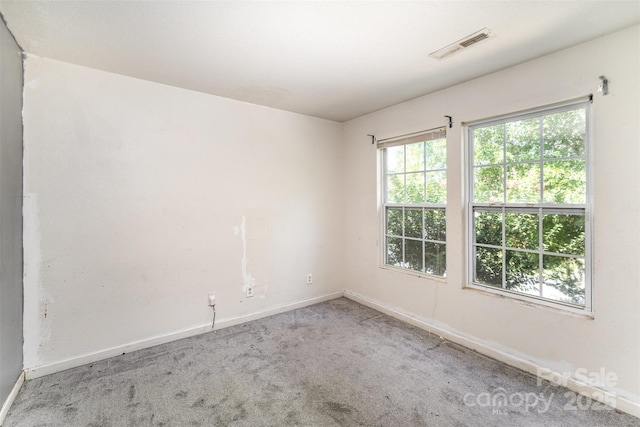 12937 Silvaire Farm Rd, Charlotte, NC 28278 - photo 24