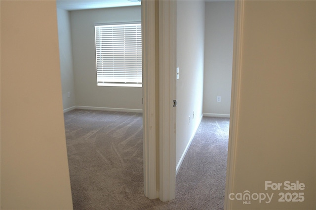 6019 Chelsea Oaks Rdg, Fort Mill, SC 29708 - photo 18