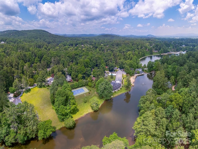 20 Lake Jordan Dr Unit 503, Flat Rock, NC 28731 - photo 13
