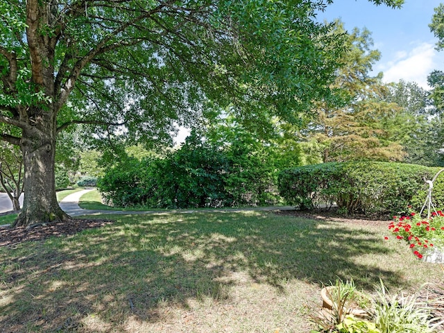 11360 Olde Turnbury Ct, Charlotte, NC 28277 - photo 23