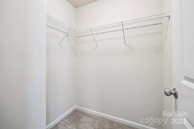 11612 Galashiels Dr, Huntersville, NC 28078 - photo 28