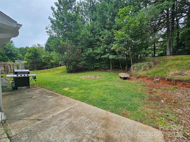 5821 Trotters Ridge Rd, Charlotte, NC 28227 - photo 16