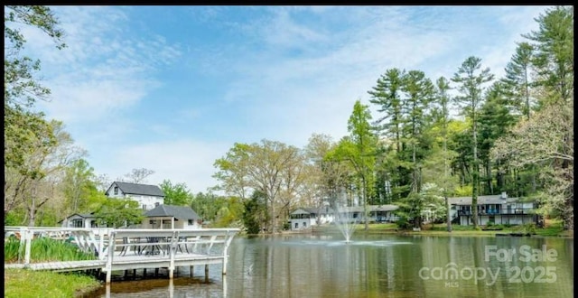 20 Lake Jordan Dr Unit 501, Flat Rock, NC 28731 - photo 2
