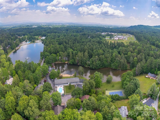 20 Lake Jordan Dr Unit 501, Flat Rock, NC 28731 - photo 18