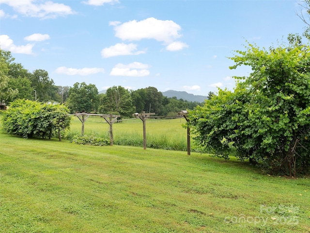 426 Sunset Cir, Canton, NC 28716 - photo 22