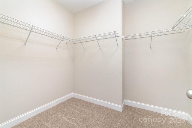 10024 Fox Trotter Ln, Midland, NC 28107 - photo 28