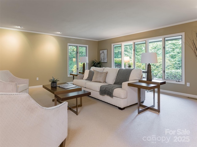 14 Stuyvesant Cres, Asheville, NC 28803 - photo 16