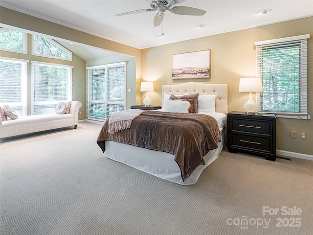 14 Stuyvesant Cres, Asheville, NC 28803 - photo 30
