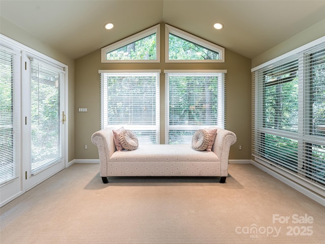 14 Stuyvesant Cres, Asheville, NC 28803 - photo 32