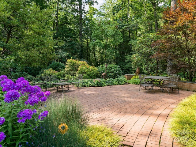 14 Stuyvesant Cres, Asheville, NC 28803 - photo 45