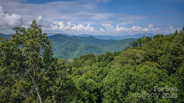 241 Golden Hawk Dr Unit 85, Bryson City, NC 28713 - photo 5