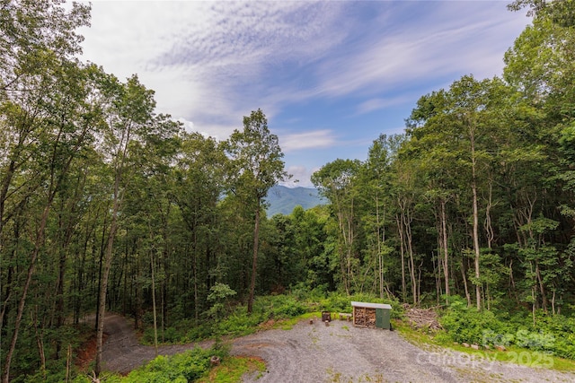 241 Golden Hawk Dr Unit 85, Bryson City, NC 28713 - photo 6
