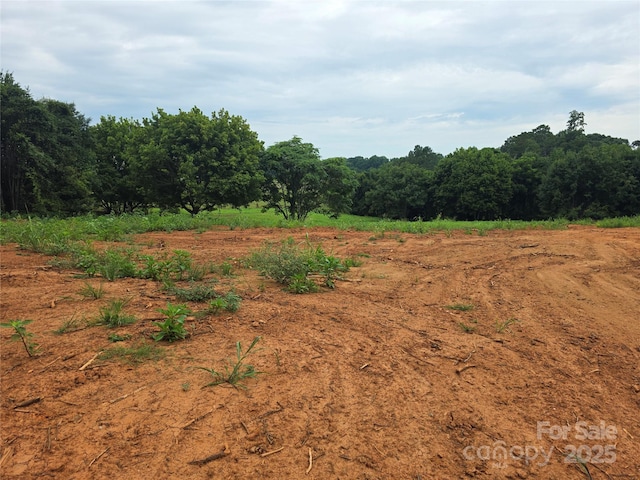 3103 Rome Jones Rd, Newton, NC 28658 - photo 5