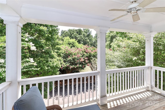 6714 Park Meadows Pl, Huntersville, NC 28078 - photo 30