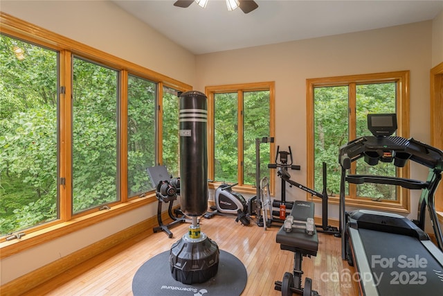 19 Timber Park Dr, Black Mountain, NC 28711 - photo 22