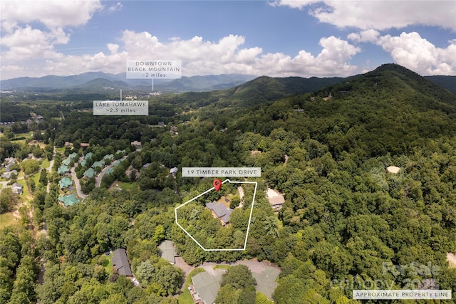 19 Timber Park Dr, Black Mountain, NC 28711 - photo 42