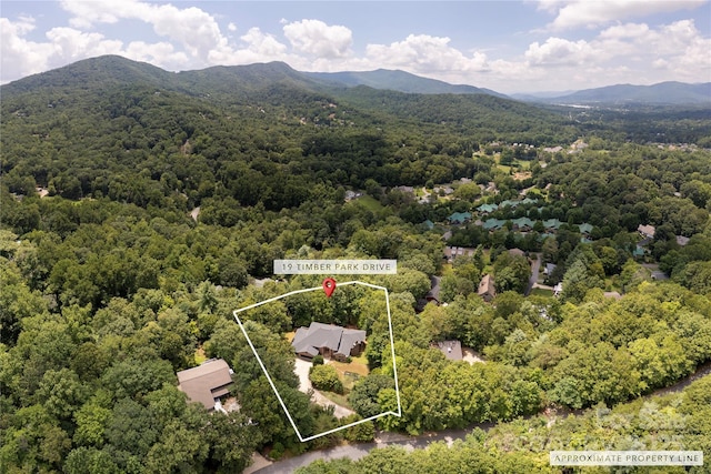 19 Timber Park Dr, Black Mountain, NC 28711 - photo 43