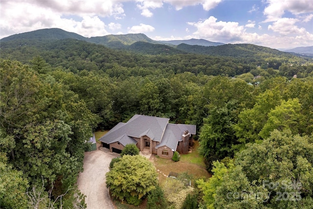 19 Timber Park Dr, Black Mountain, NC 28711 - photo 44