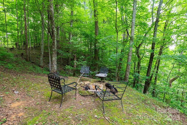 192 Granny Shepherd Rd, Mars Hill, NC 28754 - photo 20