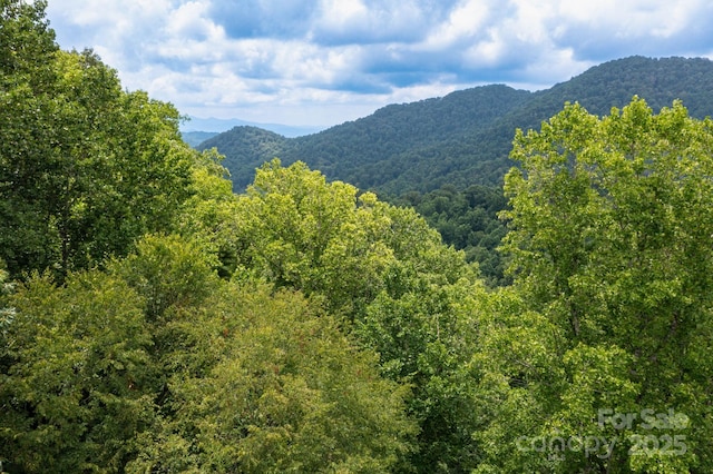 192 Granny Shepherd Rd, Mars Hill, NC 28754 - photo 21