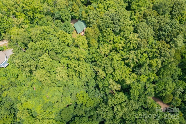 192 Granny Shepherd Rd, Mars Hill, NC 28754 - photo 22