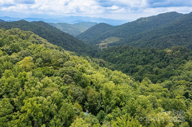 192 Granny Shepherd Rd, Mars Hill, NC 28754 - photo 24