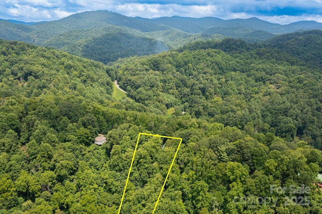 192 Granny Shepherd Rd, Mars Hill, NC 28754 - photo 26