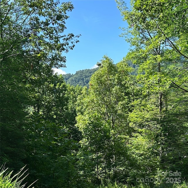 33 Nuthatch Ln Unit T-84, Black Mountain, NC 28711 - photo 1