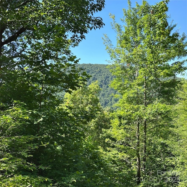 33 Nuthatch Ln Unit T-84, Black Mountain, NC 28711 - photo 2