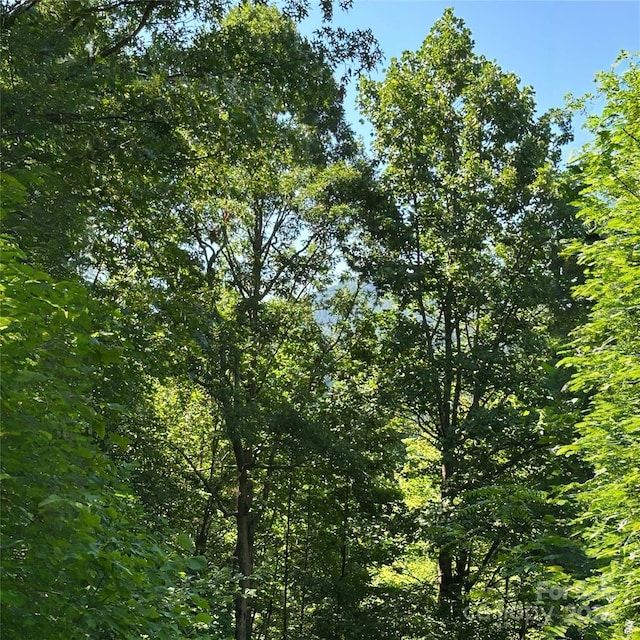33 Nuthatch Ln Unit T-84, Black Mountain, NC 28711 - photo 3