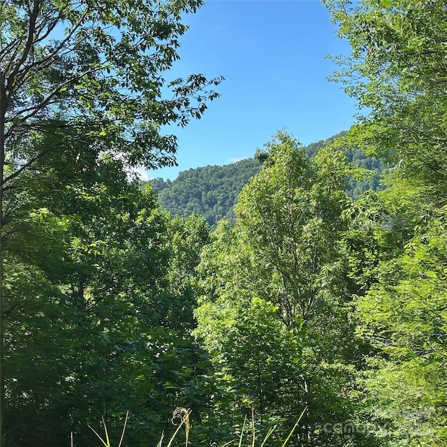 33 Nuthatch Ln Unit T-84, Black Mountain, NC 28711 - photo 4
