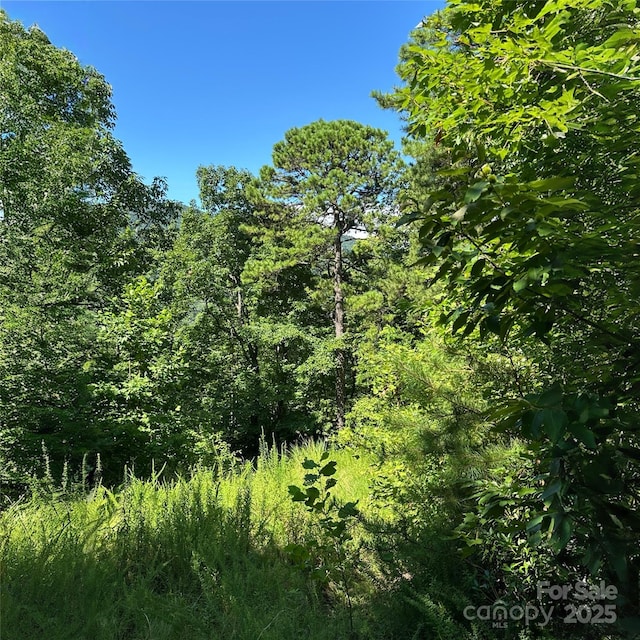 33 Nuthatch Ln Unit T-84, Black Mountain, NC 28711 - photo 5