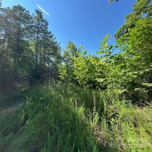 33 Nuthatch Ln Unit T-84, Black Mountain, NC 28711 - photo 6
