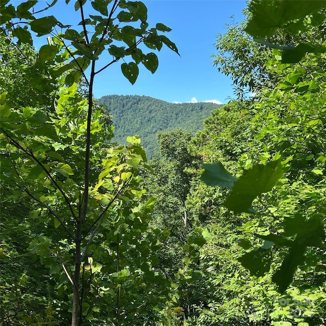 33 Nuthatch Ln Unit T-84, Black Mountain, NC 28711 - photo 7