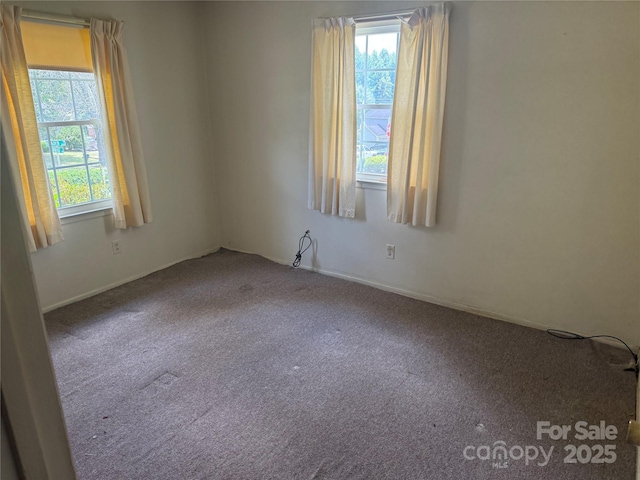 3601 Braden Dr, Charlotte, NC 28216 - photo 15