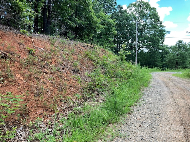 00 Roberts Trl Lot 429, Lake Lure, NC 28746 - photo 3