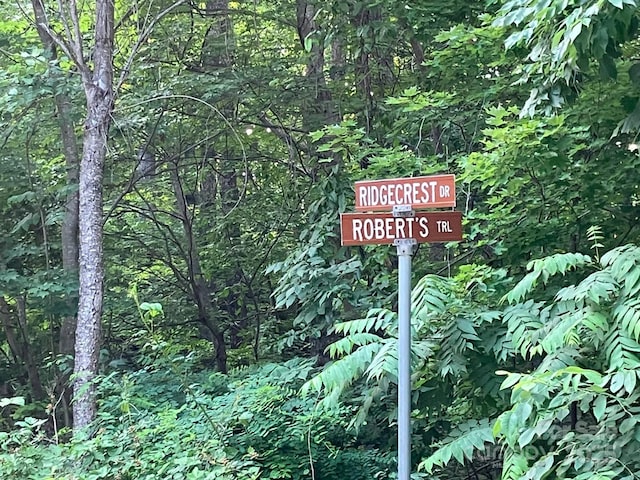 00 Roberts Trl Lot 429, Lake Lure, NC 28746 - photo 4