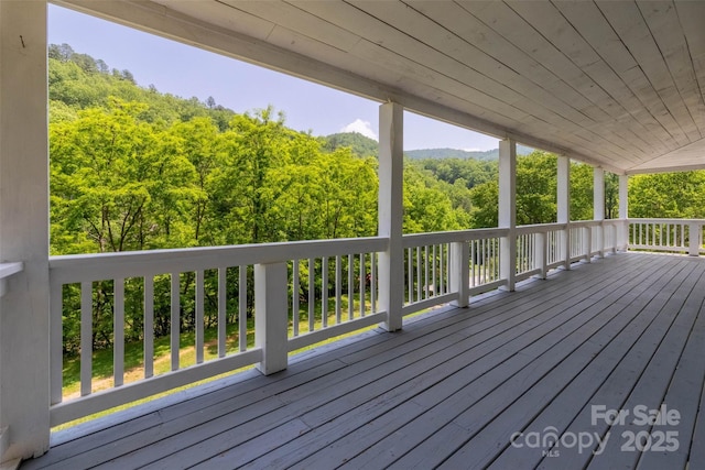 44 Moonlight Trl, Bryson City, NC 28713 - photo 26