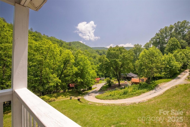 44 Moonlight Trl, Bryson City, NC 28713 - photo 28