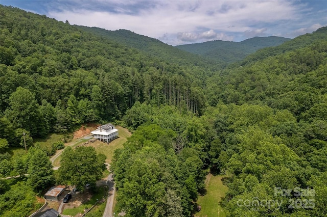 44 Moonlight Trl, Bryson City, NC 28713 - photo 29