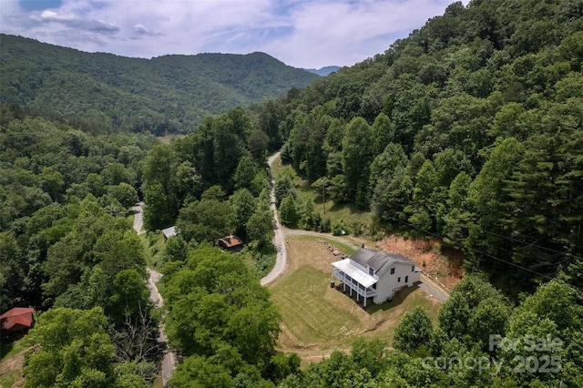 44 Moonlight Trl, Bryson City, NC 28713 - photo 30