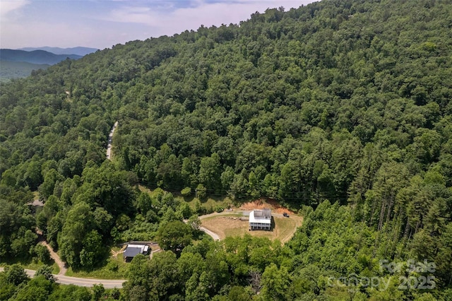 44 Moonlight Trl, Bryson City, NC 28713 - photo 41